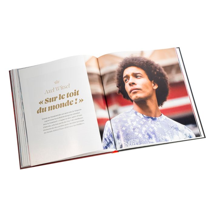 BOEK "ROUCHE TOUJOURS"