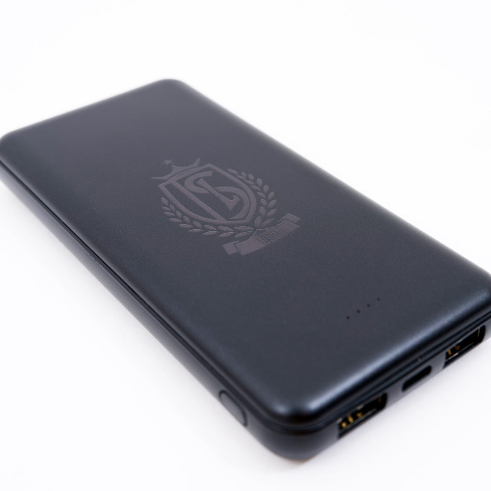 POWERBANK VAN 8000 mAh
