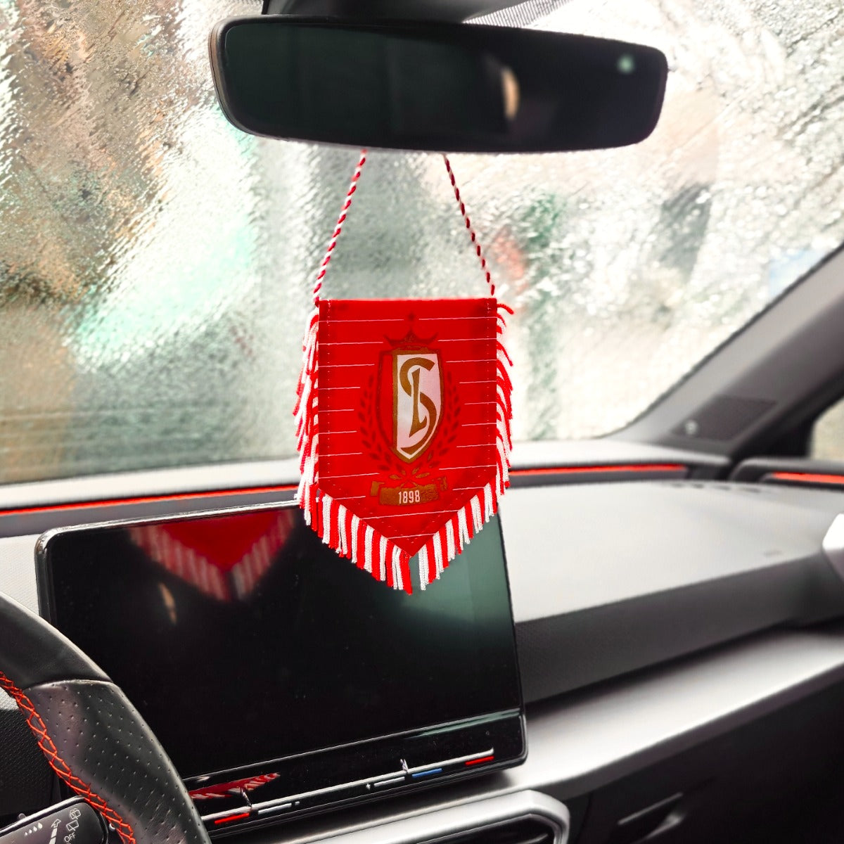 KLEINE ROOD VAANDELTJE