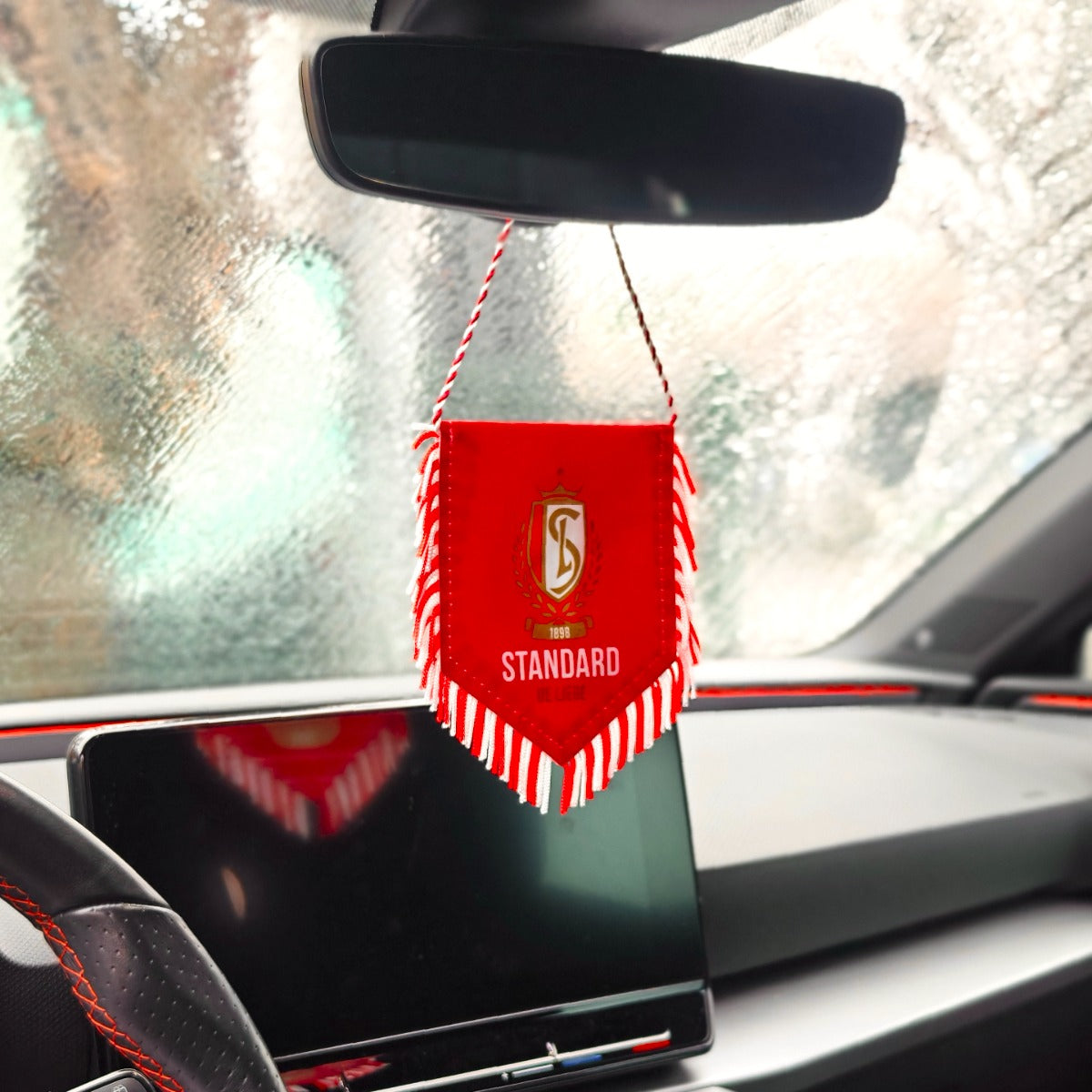 KLEINE ROOD VAANDELTJE