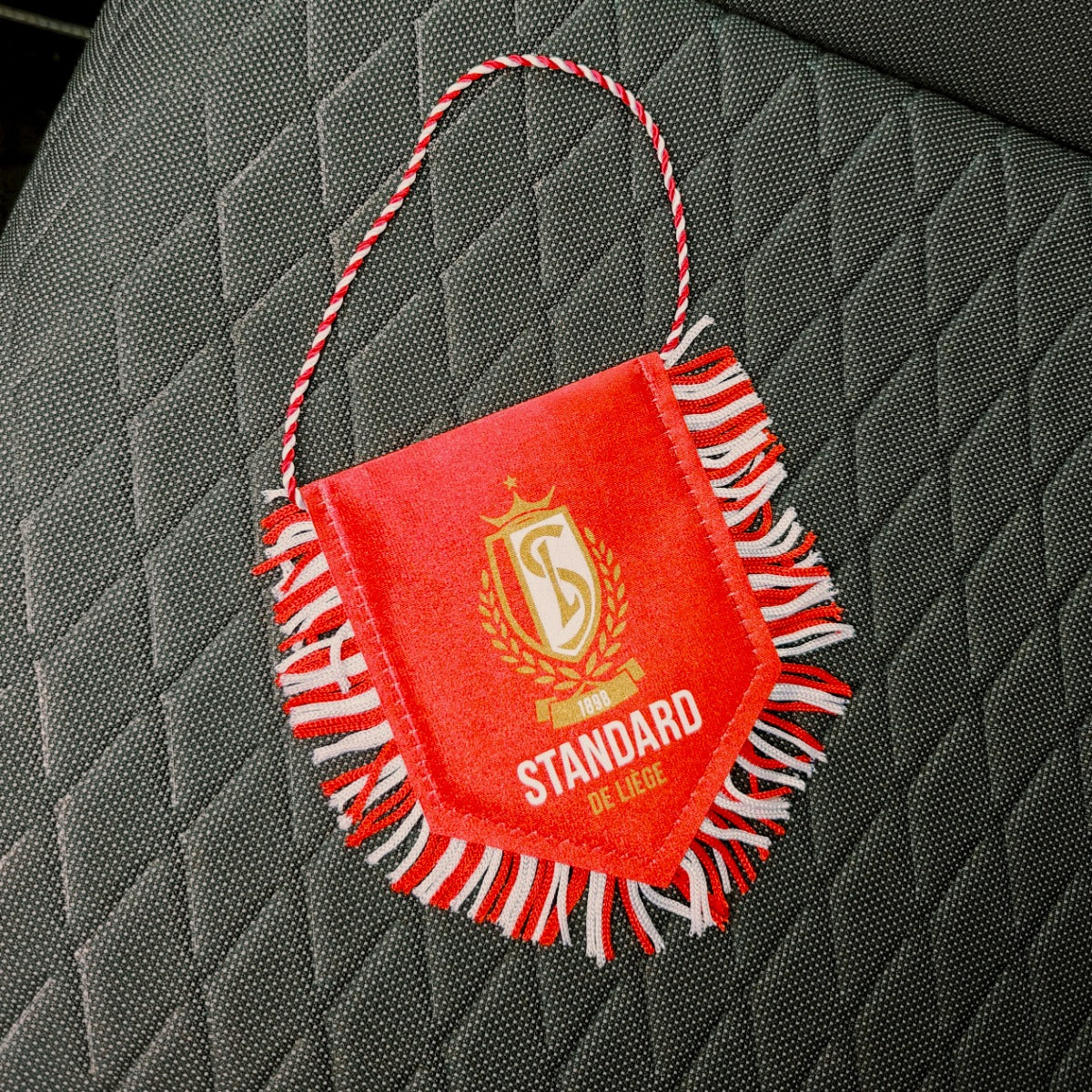 KLEINE ROOD VAANDELTJE