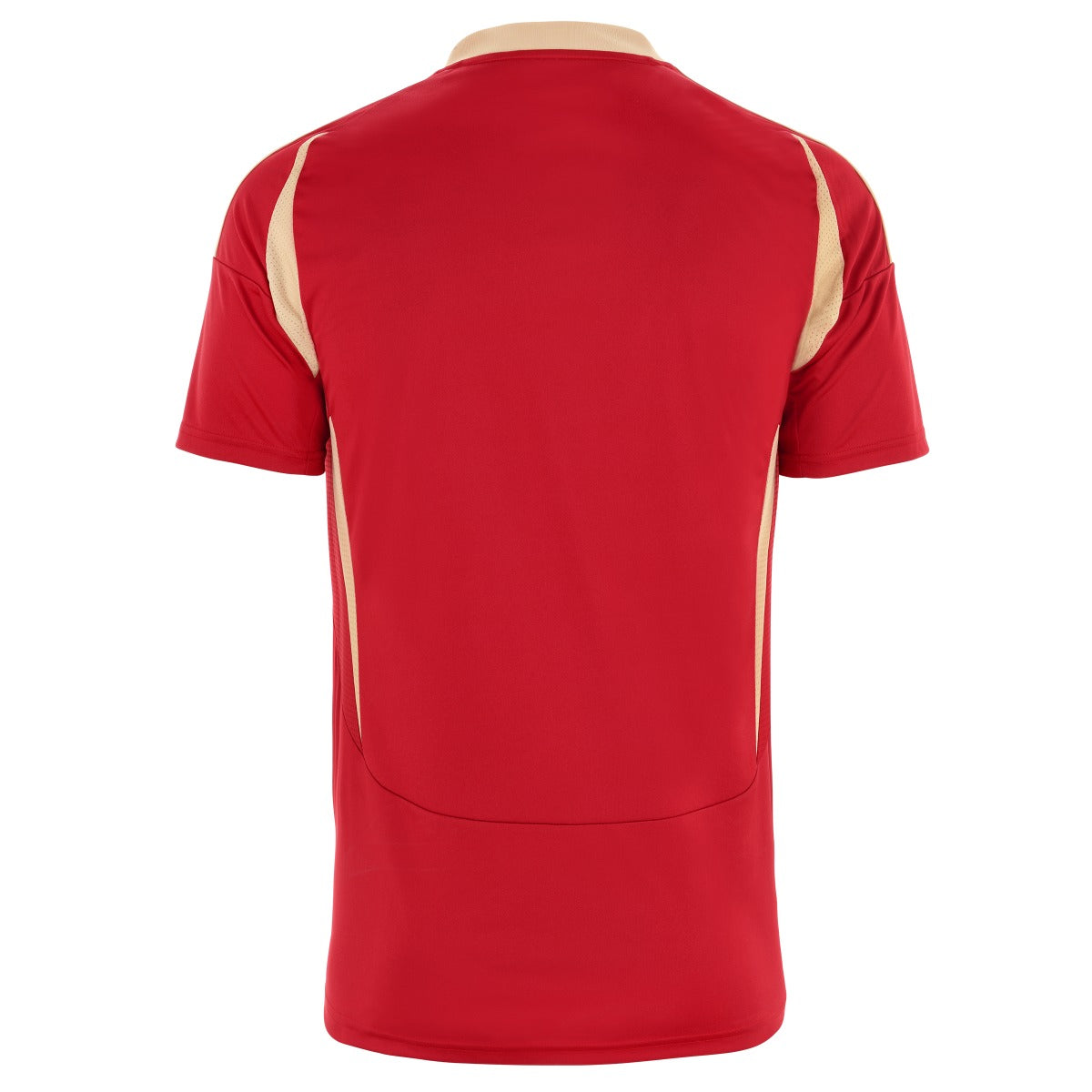 MAILLOT DOMICILE 24-25