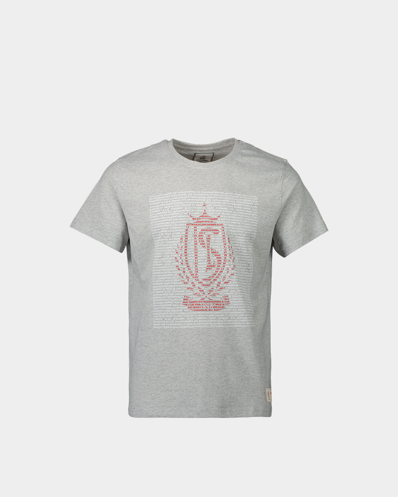 TSHIRT AUX ARMES GRIS JR 22-23