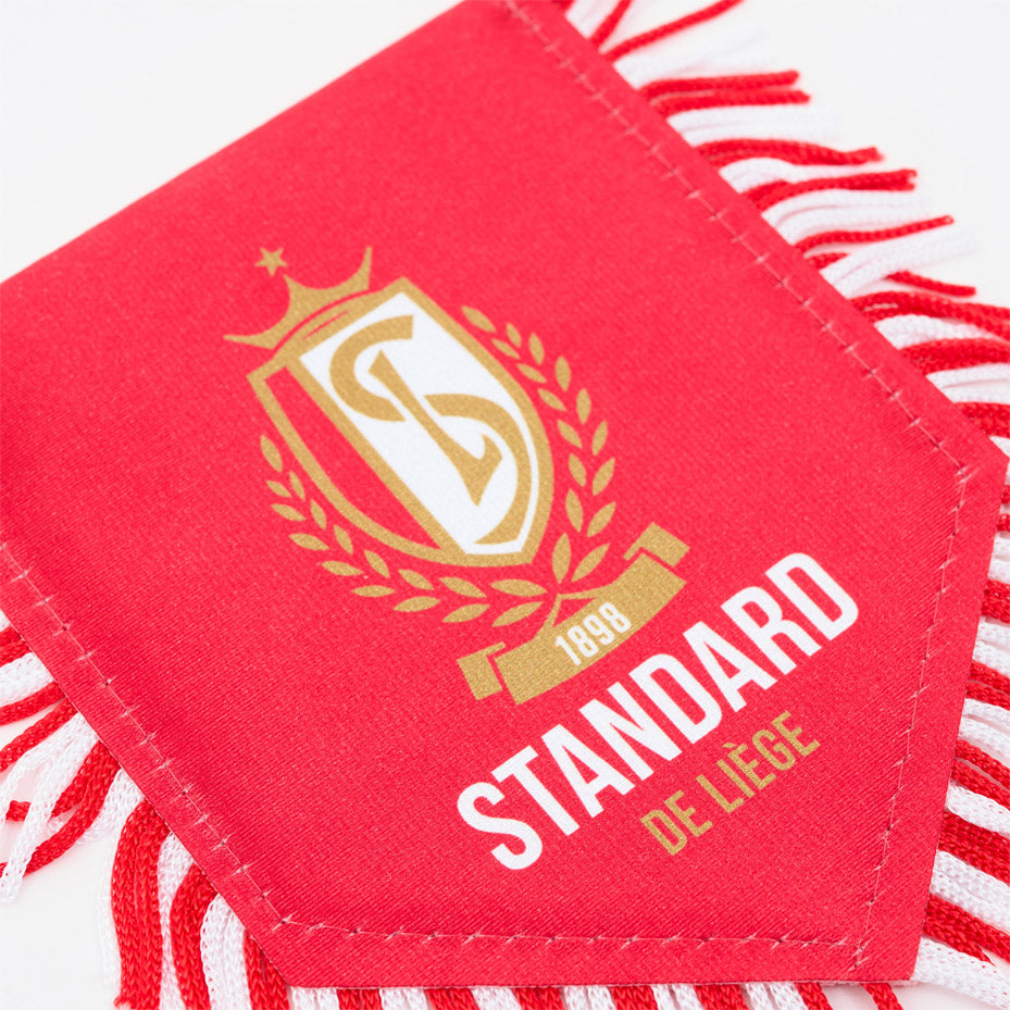 KLEINE ROOD VAANDELTJE