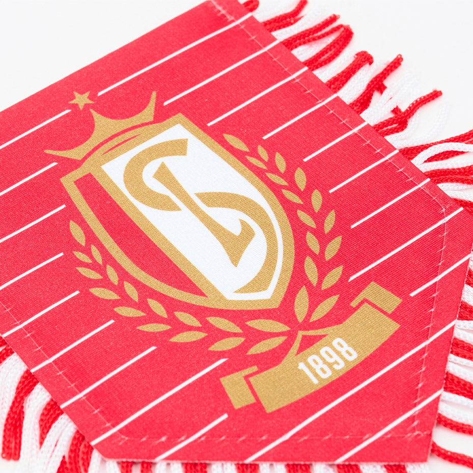 KLEINE ROOD VAANDELTJE