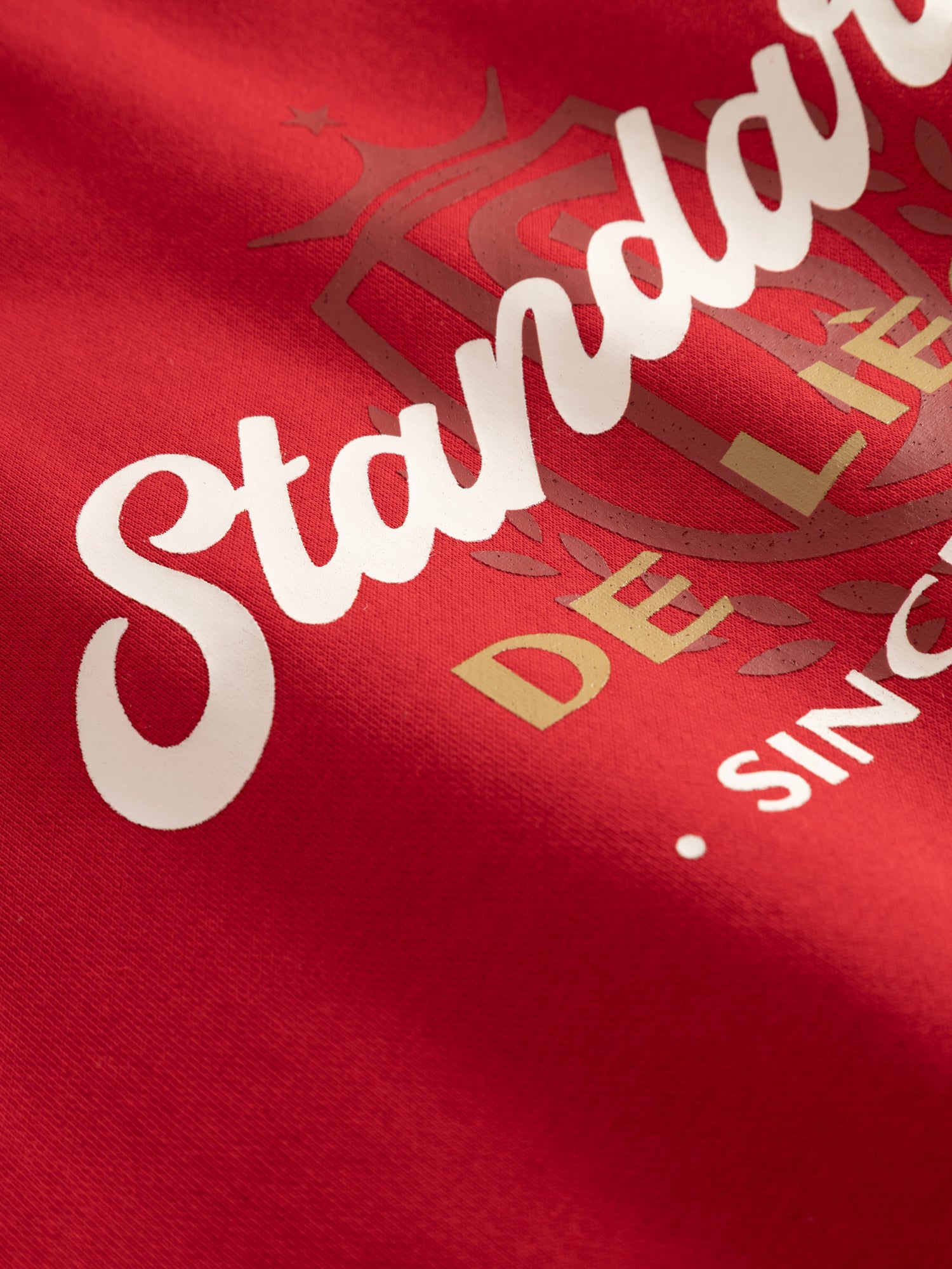 SWEAT ROUGE ZIP CAPUCHE